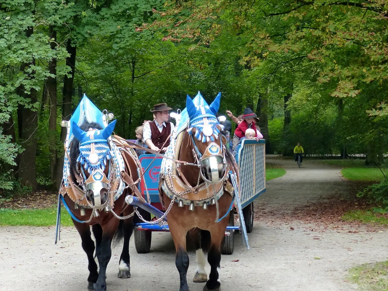 Revamp Your Equine Adventures: Gail Greenough's Preferred Post-Riding Tune-ups for a Fresh Start