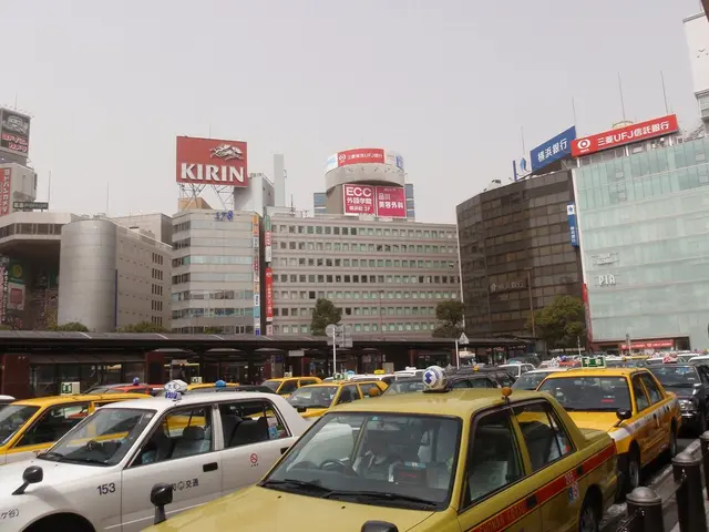 New Year's Train Schedules Revealed by Russian Railways for Sochi Destinations