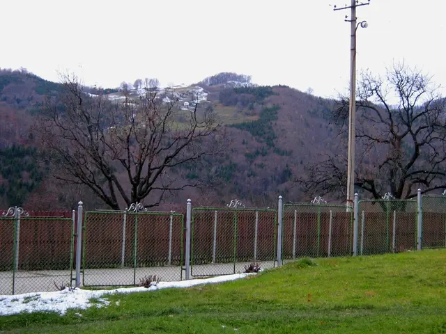 Discovering Activities in Wolnzach: A Guide