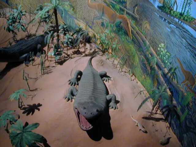 Undiscovered Hidden Gems: 5 Secluded Beaches in Western Cape That Remain Off the Radar