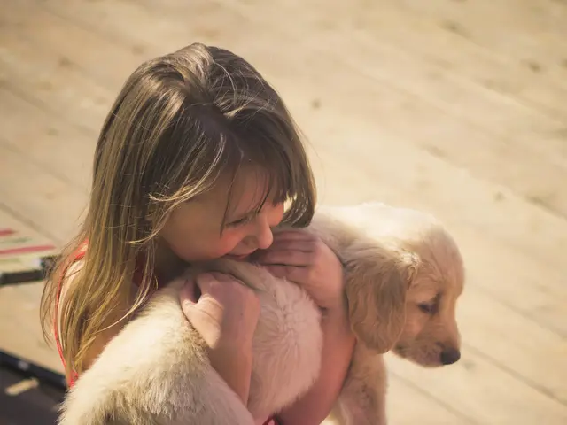 Dog confined inside a lockbox at Neuschwanstein Castle by spouse