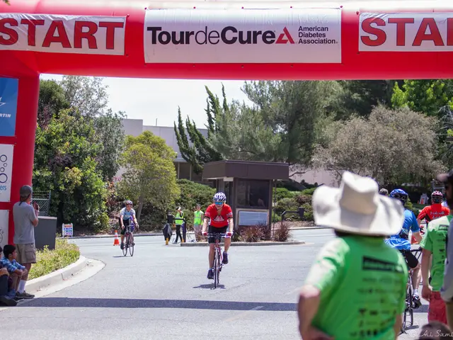 Exploring Bregenz: 6 Persuasive Reasons to Pay a Visit