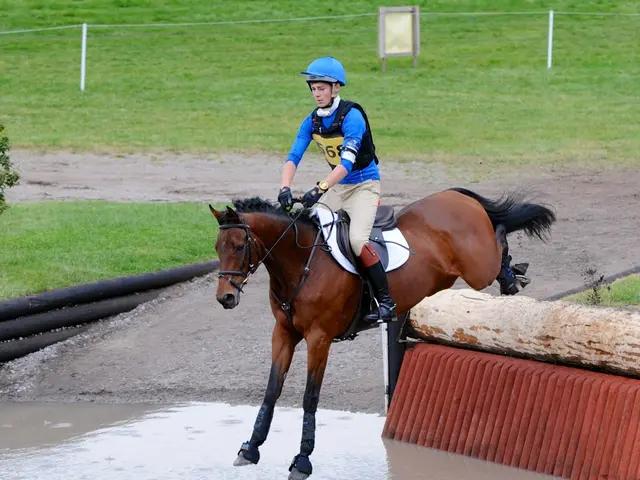 Exploring the most captivating trip spots near and around the picturesque town of Lambach