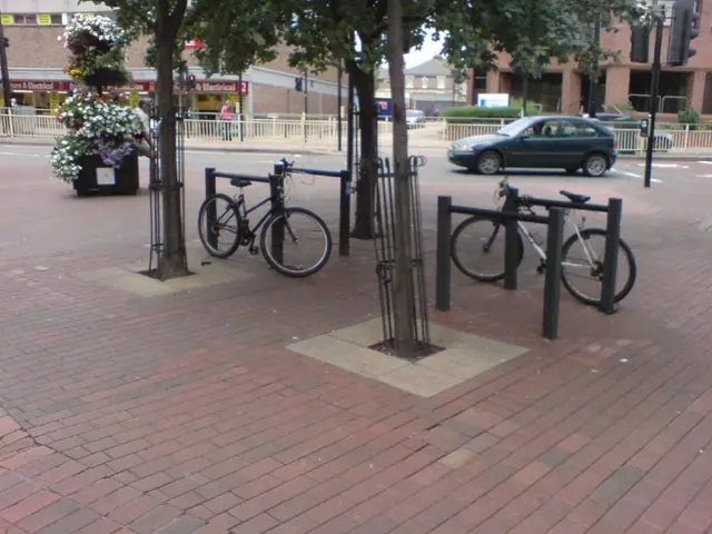 Arrest Warrant Issued for Christie Johnson: Johnson Faces Alleged Theft and Fraud Charges