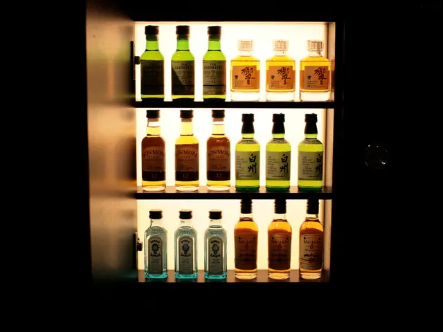 Exploring Mendoza's Pedal Power: Cycling and Viniculture Experience