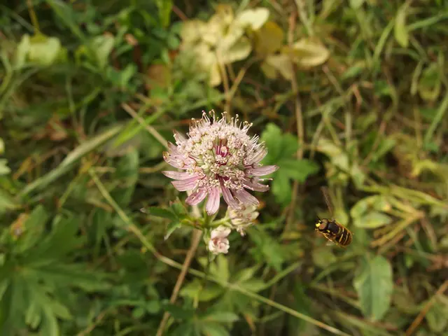Exploring a Variety of Terrarium Insects and Pests: Over a Dozen Species Detailed