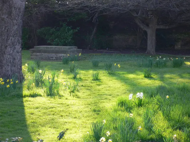 Creating a Precise Blooming Space: Guidance for Flower Bed Gardening and Floral Compositions