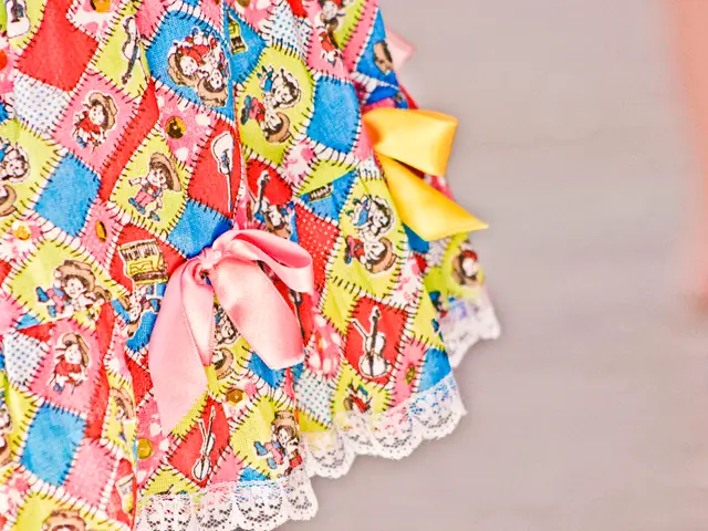 Disney Parks Strongly Prohibit Certain Attire Due to Stringent Dress Code