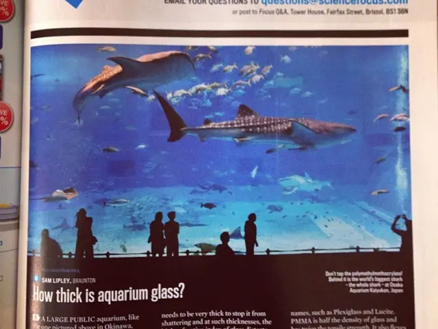 Astrological Forecast for Fish in August 2025