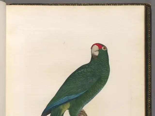 Expanding its reach, South African Airways inaugurates the Cape Town to Mauritius flight route