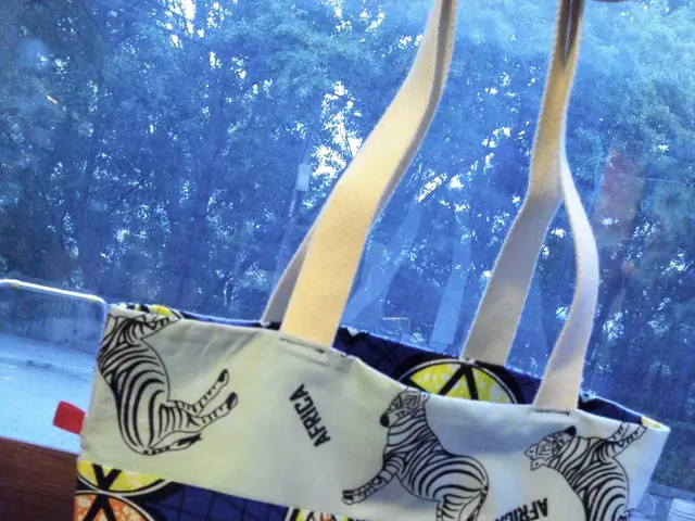 Dismantling connections, purging treasured mementos, and embarking on gentle hill expeditions