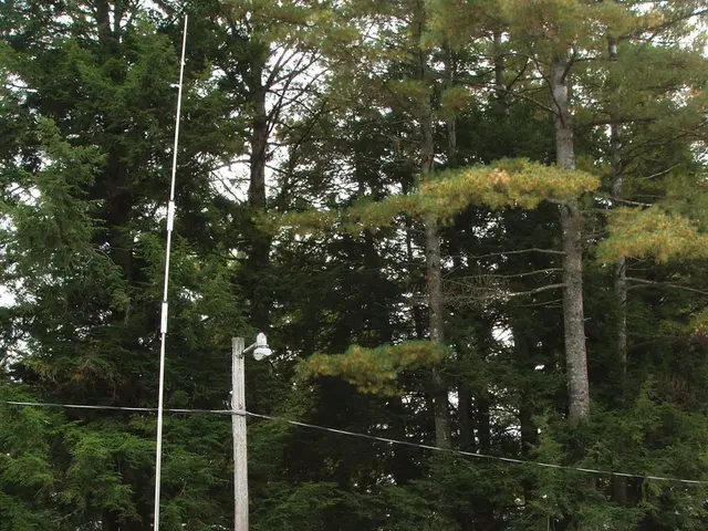 Prepare for the new caravan season by performing six essential checks, as recommended