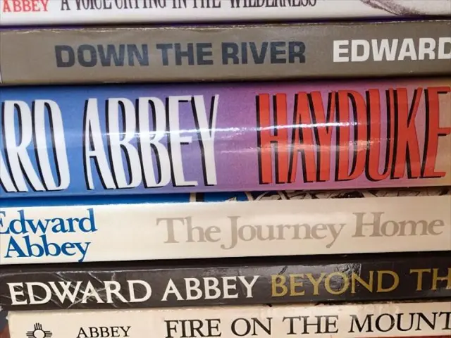 Top 30 Bible Illustration Concepts Worth Examining