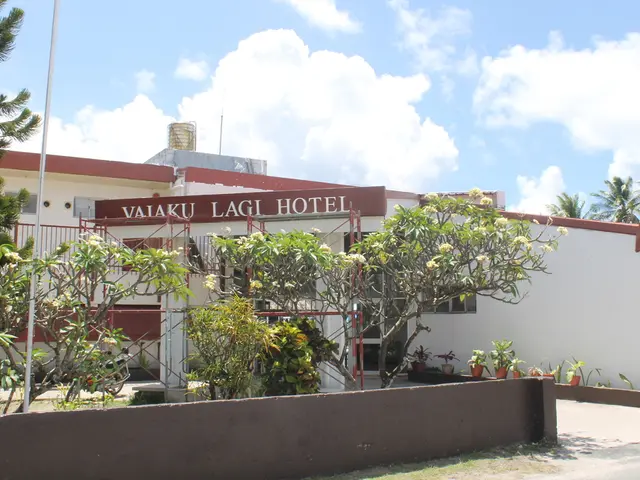 Top Hotel Loyalty Programs for Varying Travel Patterns: An All-Encompassing Review