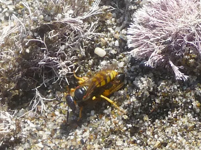 Top 15 Electric Insect Zappers Ideal for Your Deck in 2025 - Ward Off Annoying Flies Efficiently