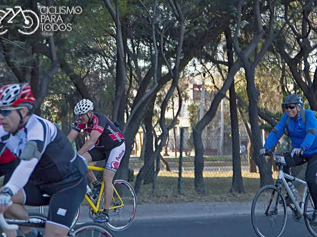 Germany's Stunning Bicycle Routes