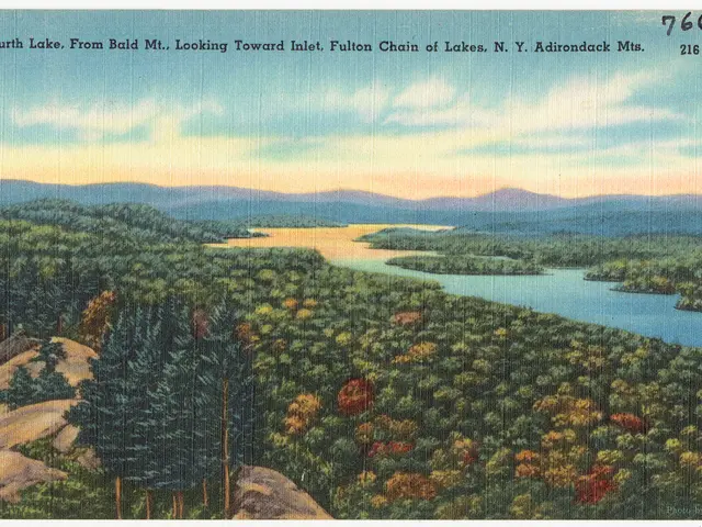 Seven Creative Approaches to Depicting Light and Darkness in Nature-Inspired Artwork, Stimulating...