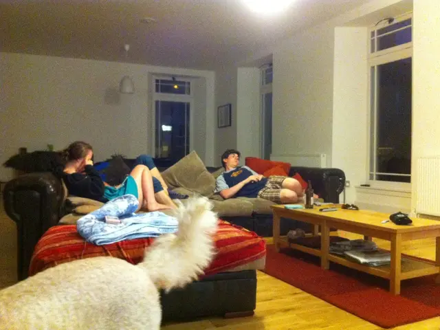 Exploring Ireland Alongside Your Canine Companion: Essential Information You Need!