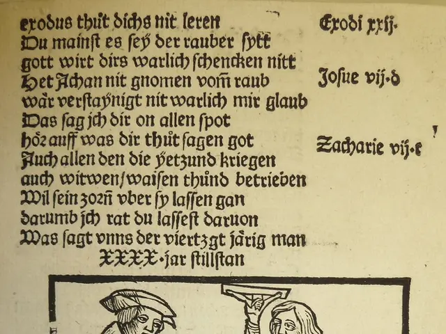 Exploring the Developmental Stages and Interpreting the Meaning Behind the Double S Marker