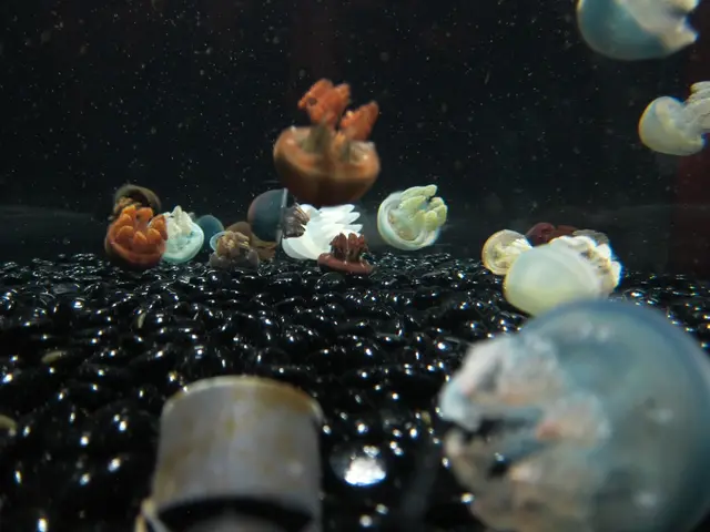 Top 25 Diving Spots in Milos, Categorized by Caves, Wrecks, Reefs, and More