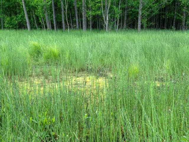 Living Large on the Farm: Exploring the Advantages of an Engaged Agricultural Existence