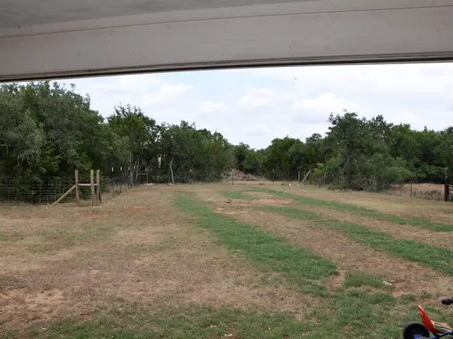 Essential information on RV travel in Baja California, unveiled - even for those apprehensive about...