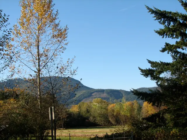 Mastering Wilderness Navigation: 7 Methods Using Only Mother Nature's Resources to Develop Outdoor...