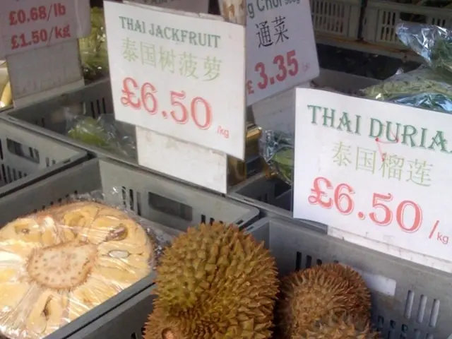 A ten-day journey without actual air travel can set you back approximately 3.44 million rubles for...