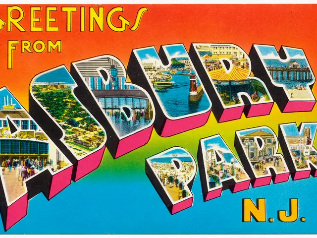 Introducing the Groundbreaking 'Eco Card' by Swiipr for Airline Environmental Damages Reimbursement