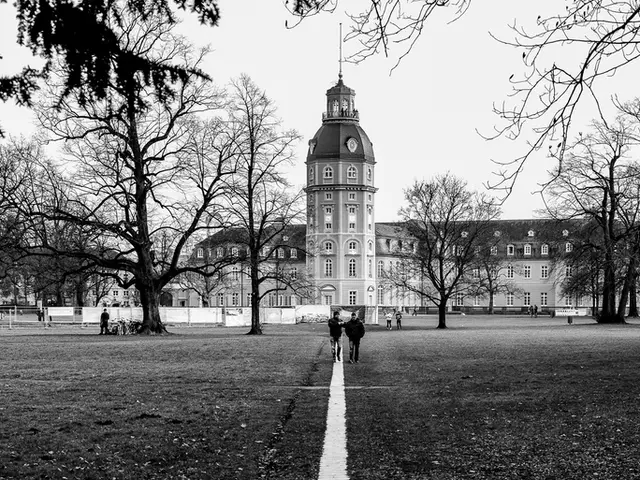 Seven Methods of Nature Photography Encouraging Deep Connections and Awe-Inspiring Moments