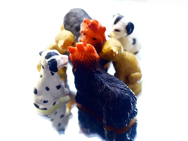 Essential Pocket Monsters Plush Toys: A Roundup of 10 Must-Haves