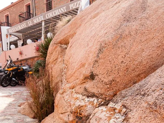 Commission has opted to launch the process for announcing the introduction of the fresh plan.