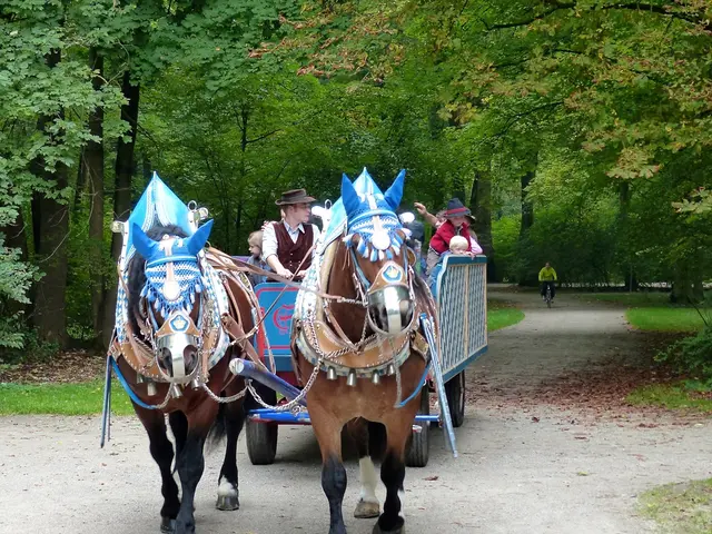Revamp Your Equine Adventures: Gail Greenough's Preferred Post-Riding Tune-ups for a Fresh Start