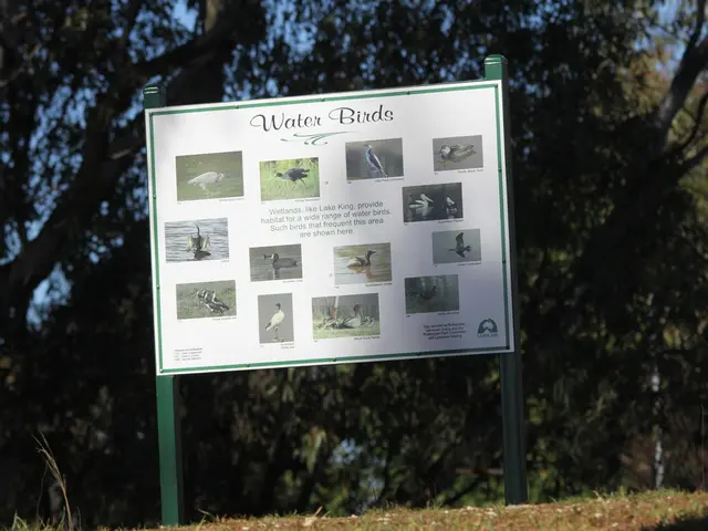 Florida's Stealthy Sanctuary for Wildlife: A Nature Enthusiast's Paradise, Featuring Stunning...