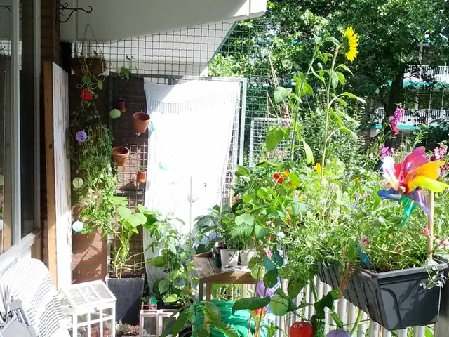 Top 12 Homemade Nature Activities for Strengthening Family Ties While Encouraging Awe in the Great...