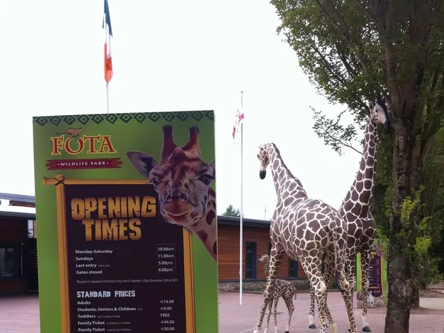In this image, we can see giraffes and there are trees, sheds, flags and there is a board with some...