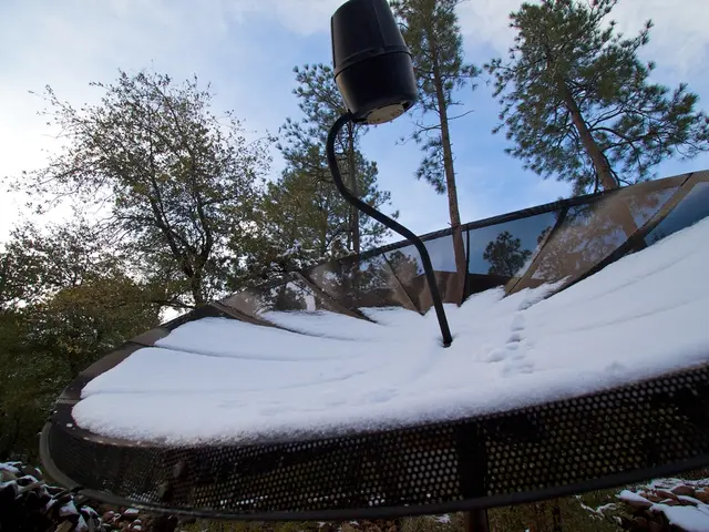 In this picture I can see there is a dish antenna and there is some snow on it, there are few trees...